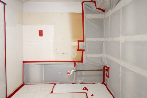 Biohazard Mold Removal in Level Green, PA