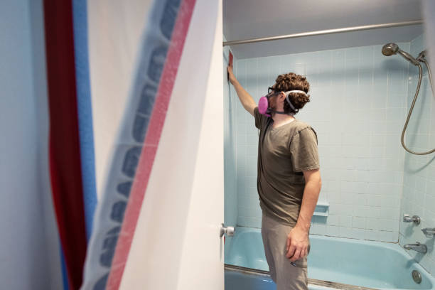 Best Residential Mold Inspection & Testing  in Level Green, PA
