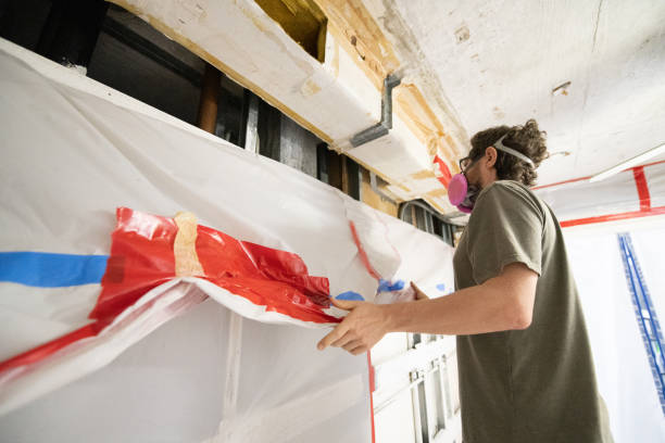 Best Environmental Consulting for Mold Prevention  in Level Green, PA
