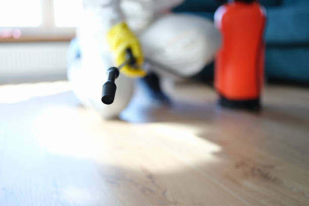 Best Commercial Mold Inspection  in Level Green, PA