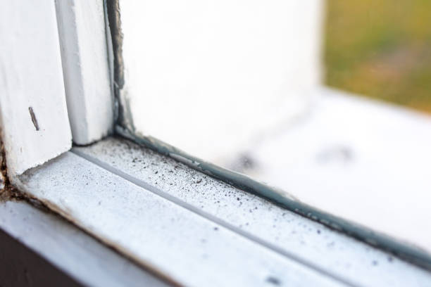 Best Asbestos and Lead Testing During Mold Inspection  in Level Green, PA
