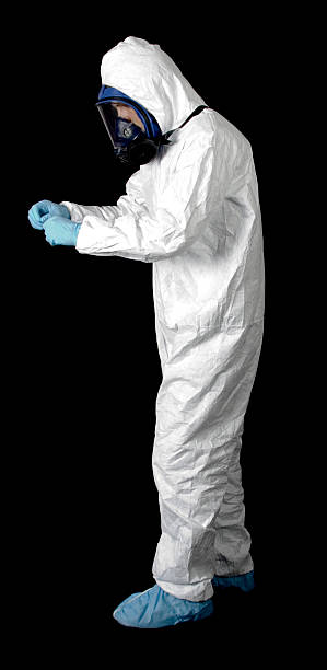 Best Post-Remediation Verification Testing  in Level Green, PA